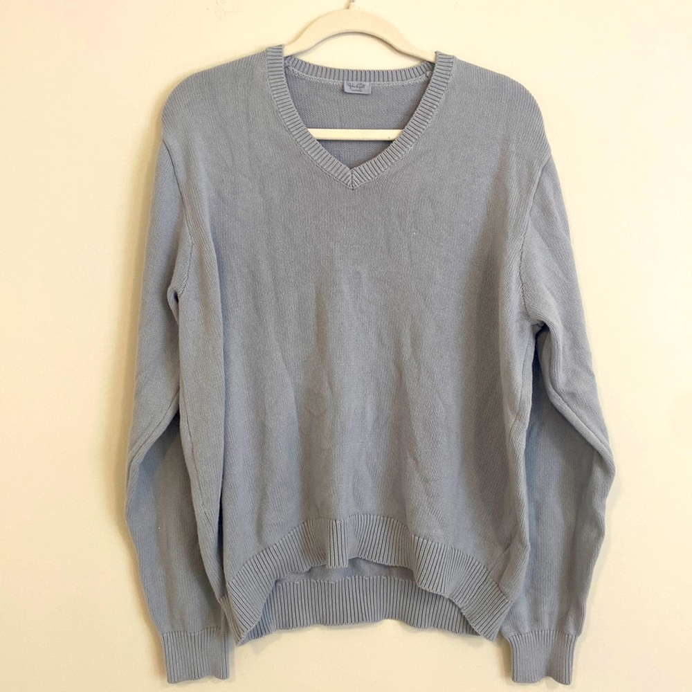 Brandy Melville Light Blue Vneck Sweater.